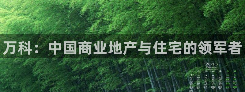 新宝5褚74OOO5：万科：中国商业地产与住宅的领军者