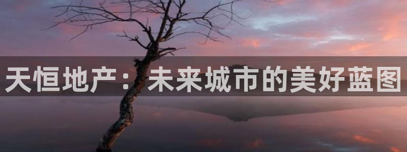 新宝5找找74OOO5：天恒地产：未来城市的美好蓝图