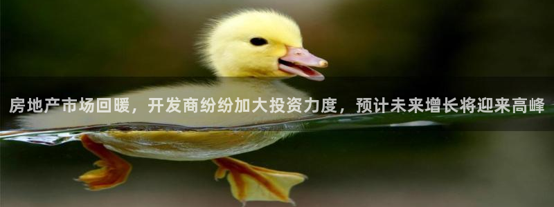 新宝5下载软件：房地产市场回暖，开发商纷纷加大投资力度，预计