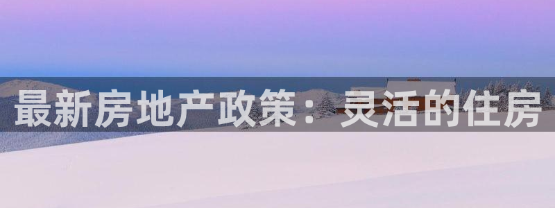 新宝6霸哥5：最新房地产政策：灵活的住房