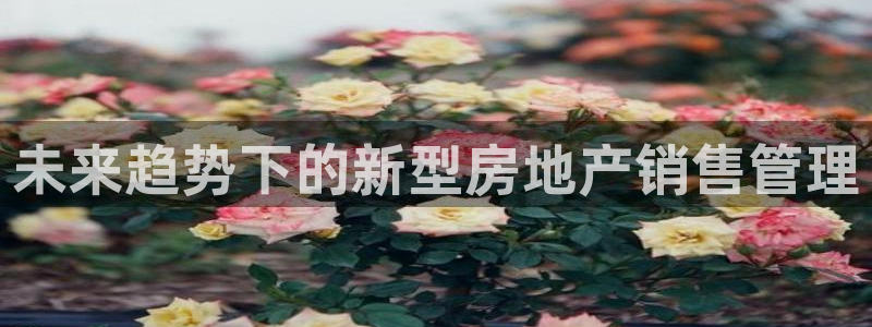 新宝5线路登录：未来趋势下的新型房地产销售管理