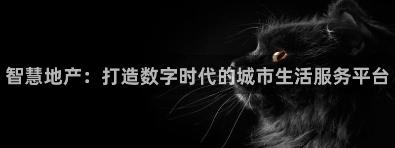 新宝5 注册：智慧地产：打造数字时代的城市生活服务平台
