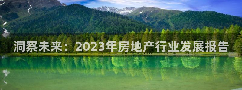 新宝5官方网站：洞察未来：2023年房地产行业发展报告