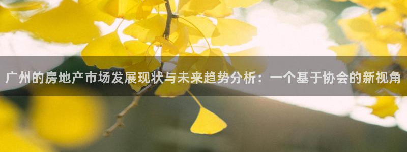 新宝5娱乐学：广州的房地产市场发展现状与未来趋势分析：一个基