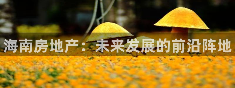 新宝5登录界面：海南房地产：未来发展的前沿阵地
