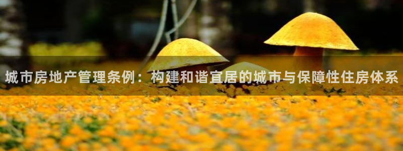 老新宝5授权登录：城市房地产管理条例：构建和谐宜居的城市与保