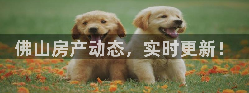 有人知道新宝5么：佛山房产动态，实时更新！