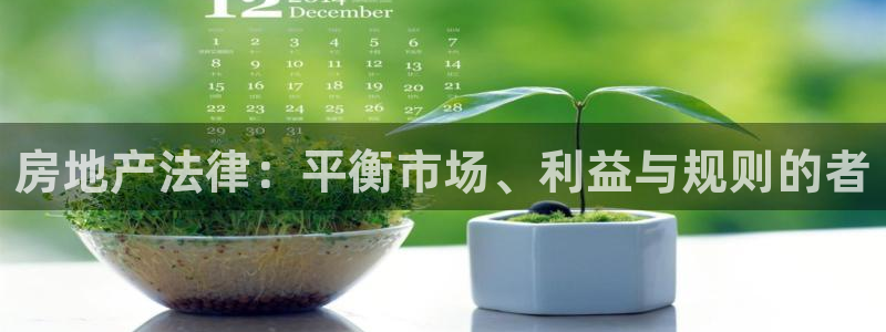 新宝rc_5w：房地产法律：平衡市场、利益与规则的者
