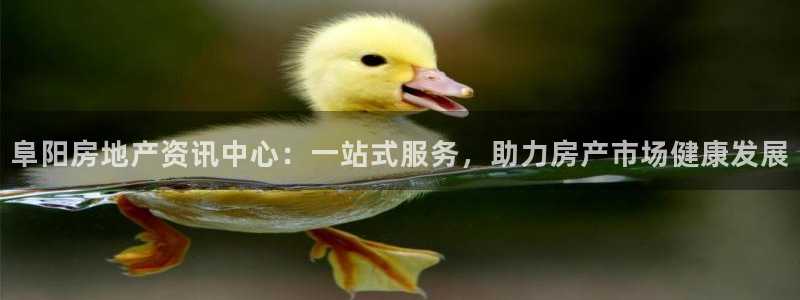 新宝5如何注册：阜阳房地产资讯中心：一站式服务，助力房产市场