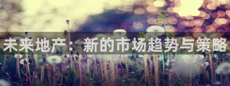 新宝5电脑：未来地产：新的市场趋势与策略