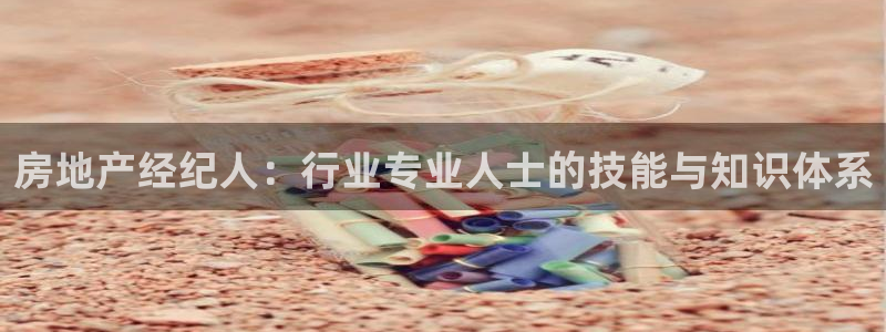 新宝5娱乐登陆：房地产经纪人：行业专业人士的技能与知识体系