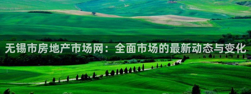 新宝5链接：无锡市房地产市场网：全面市场的最新动态与变化