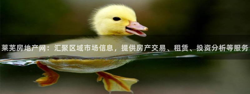 新宝5测试：莱芜房地产网：汇聚区域市场信息，提供房产交易、租