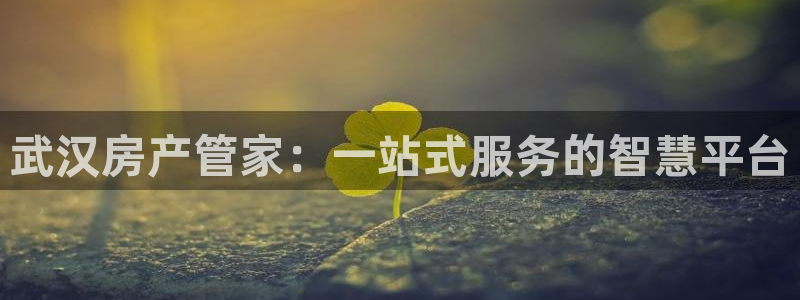 新宝5平棋牌：武汉房产管家：一站式服务的智慧平台