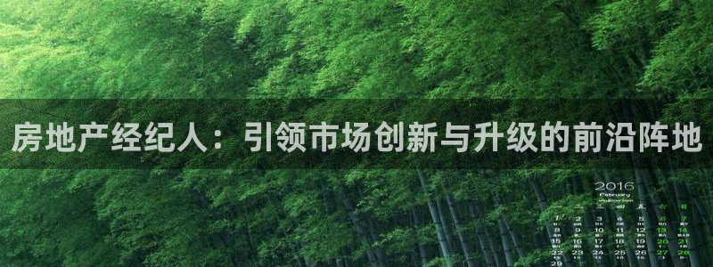 新宝5测速在线：房地产经纪人：引领市场创新与升级的前沿阵地