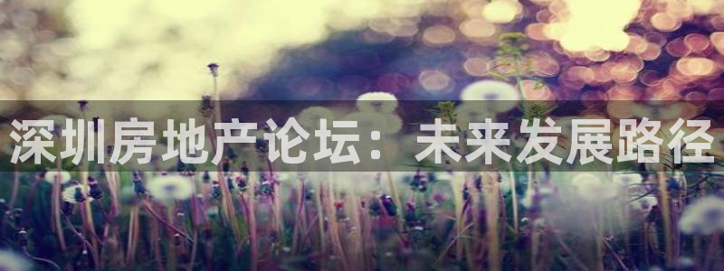 新宝5下载：深圳房地产论坛：未来发展路径