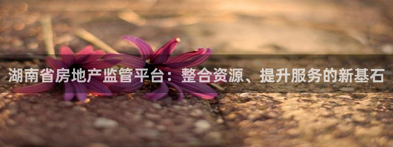 新宝5系列：湖南省房地产监管平台：整合资源、提升服务的新基石