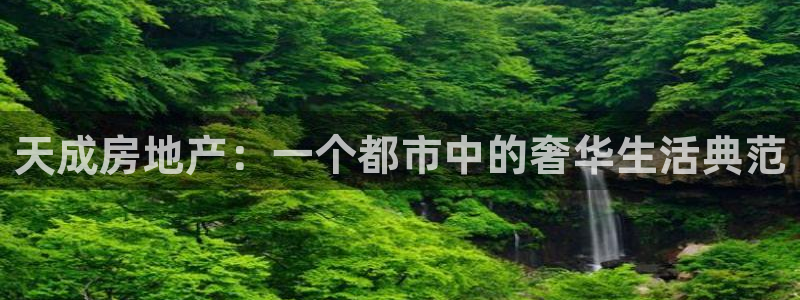 新宝那2O5O5O：天成房地产：一个都市中的奢华生活典范