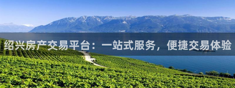 新宝5找找74OOO5：绍兴房产交易平台：一站式服务，便捷交