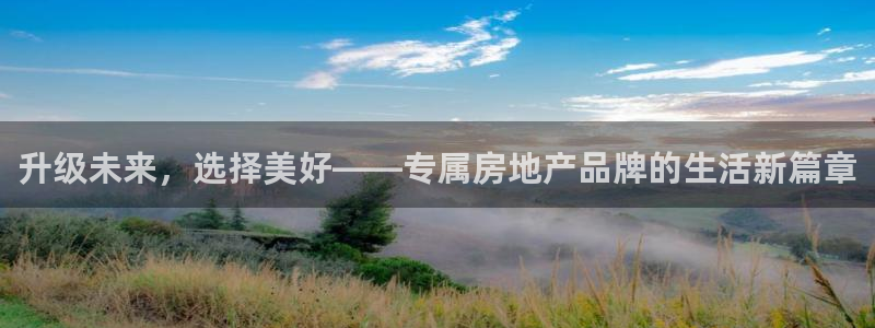 i新宝5：升级未来，选择美好——专属房地产品牌的生活新篇章