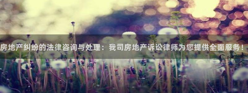 新宝5上来77542：房地产纠纷的法律咨询与处理：我司房地产