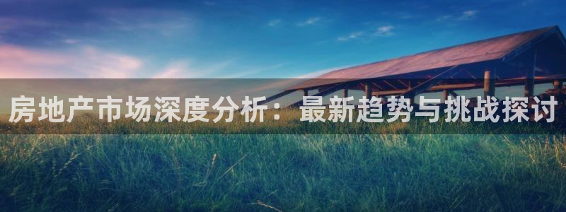 新宝5巅峰：房地产市场深度分析：最新趋势与挑战探讨