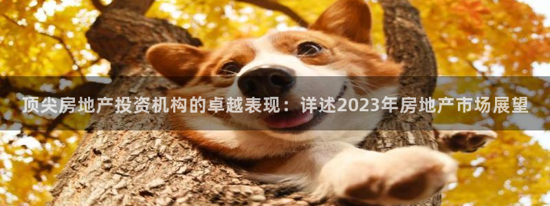 新宝注5册：顶尖房地产投资机构的卓越表现：详述2023年房地