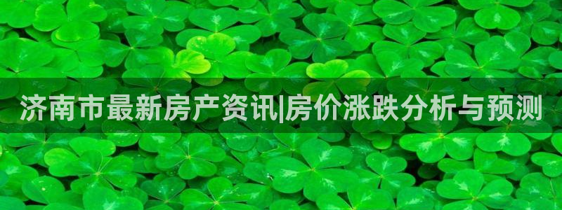 新宝5软件下载：济南市最新房产资讯|房价涨跌分析与预测