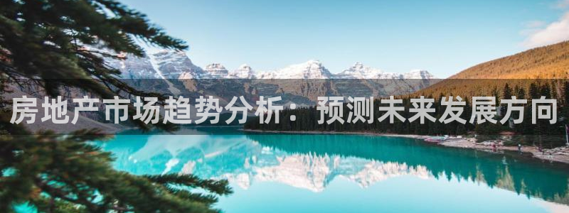 新宝5尤74OOO5：房地产市场趋势分析：预测未来发展方向