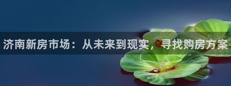 p5r新宝魔：济南新房市场：从未来到现实，寻找购房方案