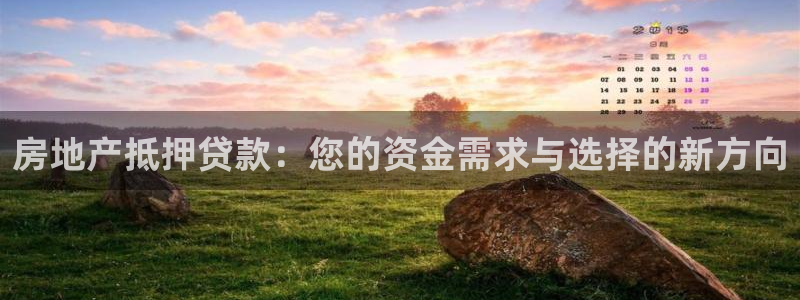 新宝5尤74OOO5：房地产抵押贷款：您的资金需求与选择的新