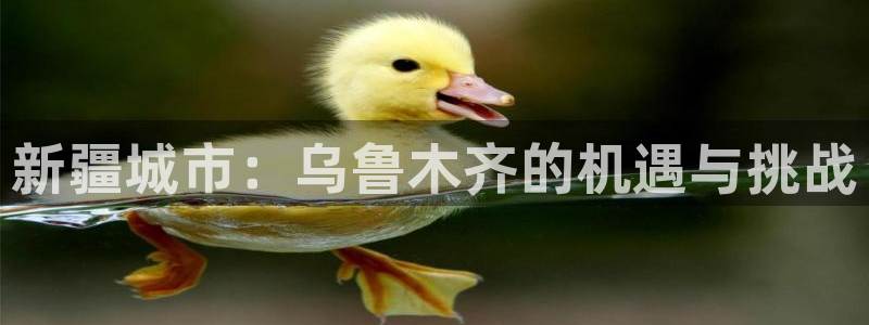 新宝5日：新疆城市：乌鲁木齐的机遇与挑战