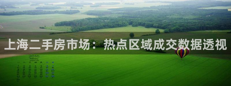 新宝5账号注册：上海二手房市场：热点区域成交数据透视