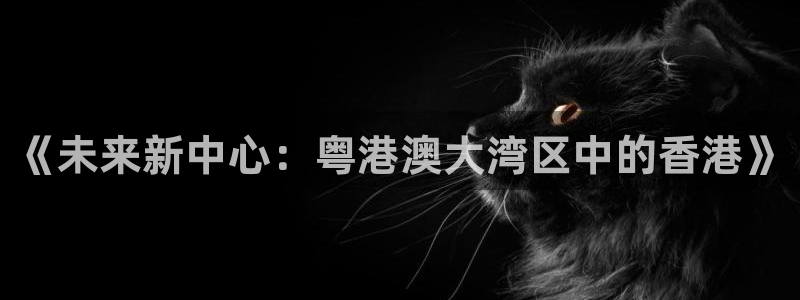 p5r新宝魔：《未来新中心：粤港澳大湾区中的香港》
