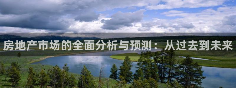 i新宝5：房地产市场的全面分析与预测：从过去到未来