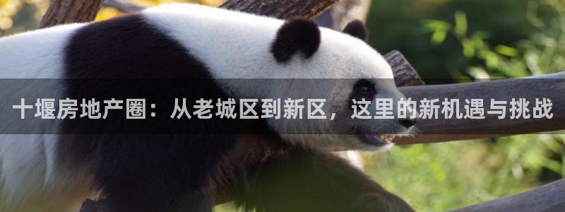 新宝5黑彩：十堰房地产圈：从老城区到新区，这里的新机遇与挑战