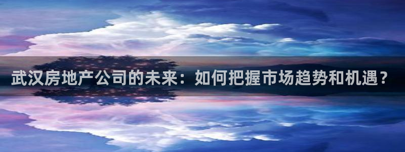 新宝5娱乐方：武汉房地产公司的未来：如何把握市场趋势和机遇？