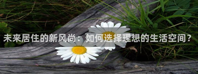 新宝5测：未来居住的新风尚：如何选择理想的生活空间？