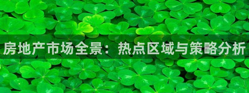 新宝5-测速：房地产市场全景：热点区域与策略分析