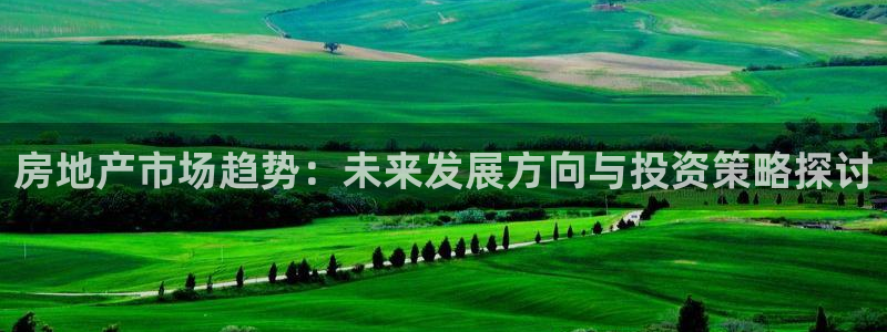 新宝5巅峰：房地产市场趋势：未来发展方向与投资策略探讨