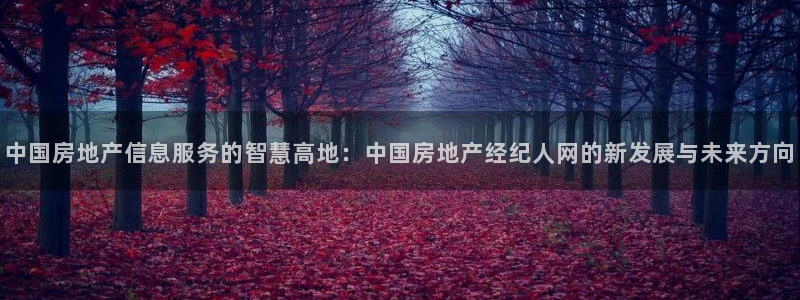 新宝5娱乐经：中国房地产信息服务的智慧高地：中国房地产经纪人