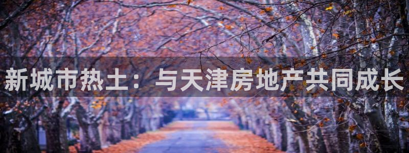 新宝5湫333 00：新城市热土：与天津房地产共同成长