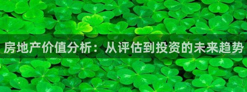 新宝5湫333 00：房地产价值分析：从评估到投资的未来趋势