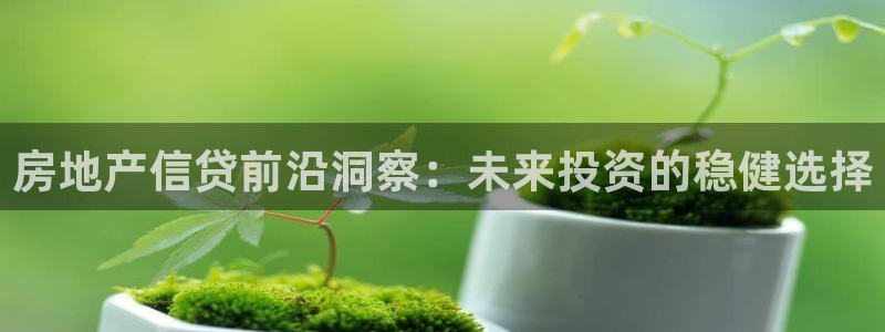 新宝5-测速：房地产信贷前沿洞察：未来投资的稳健选择