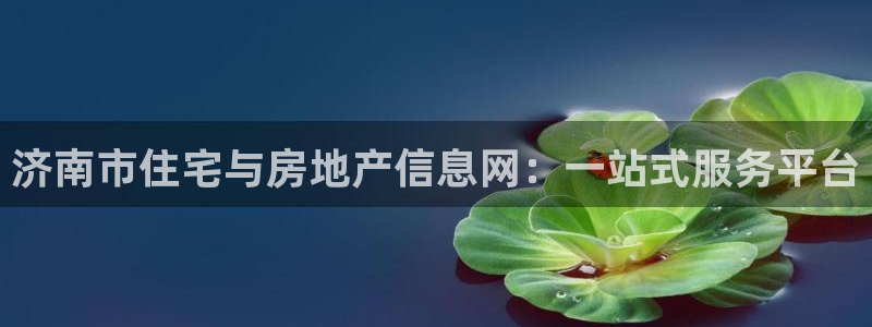 新宝5分彩：济南市住宅与房地产信息网：一站式服务平台
