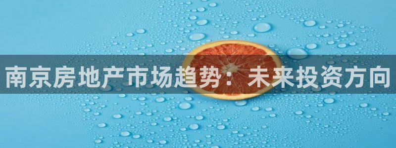 新宝5首页：南京房地产市场趋势：未来投资方向
