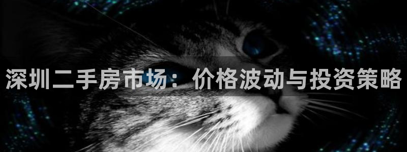新宝5官方：深圳二手房市场：价格波动与投资策略