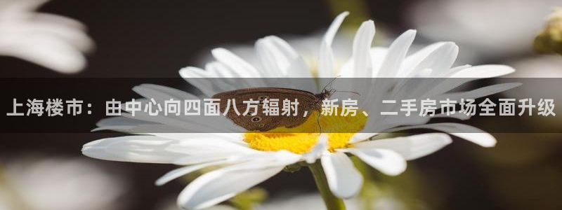 新宝5娱乐：上海楼市：由中心向四面八方辐射，新房、二手房市场