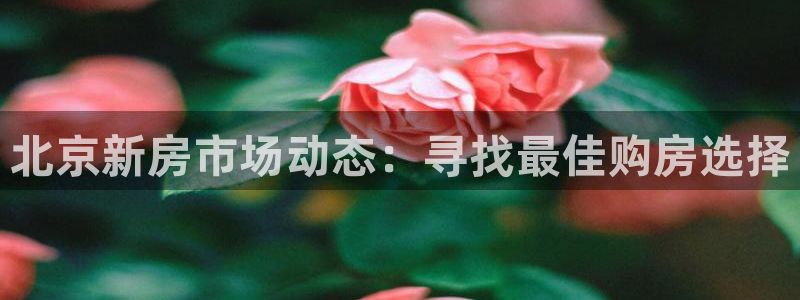 新宝5 唯一：北京新房市场动态：寻找最佳购房选择