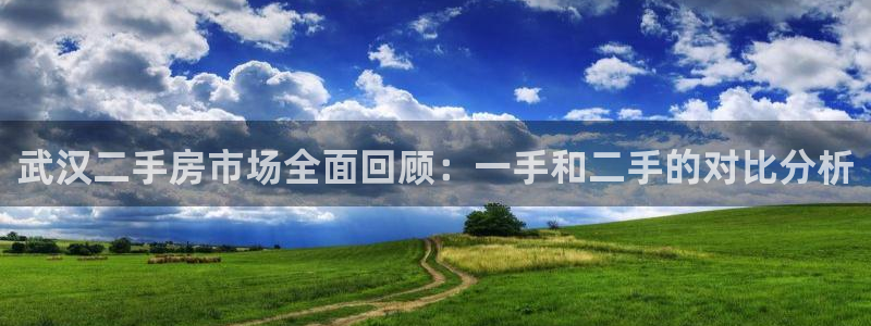 新宝5后：武汉二手房市场全面回顾：一手和二手的对比分析